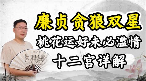 廉贞贪狼|双星组合之廉贞贪狼 – 紫微麥 